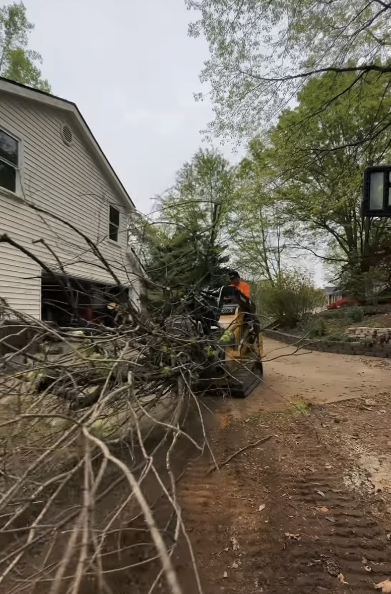 Emergency tree removal service responding to fallen tree in Santa Fe, NM